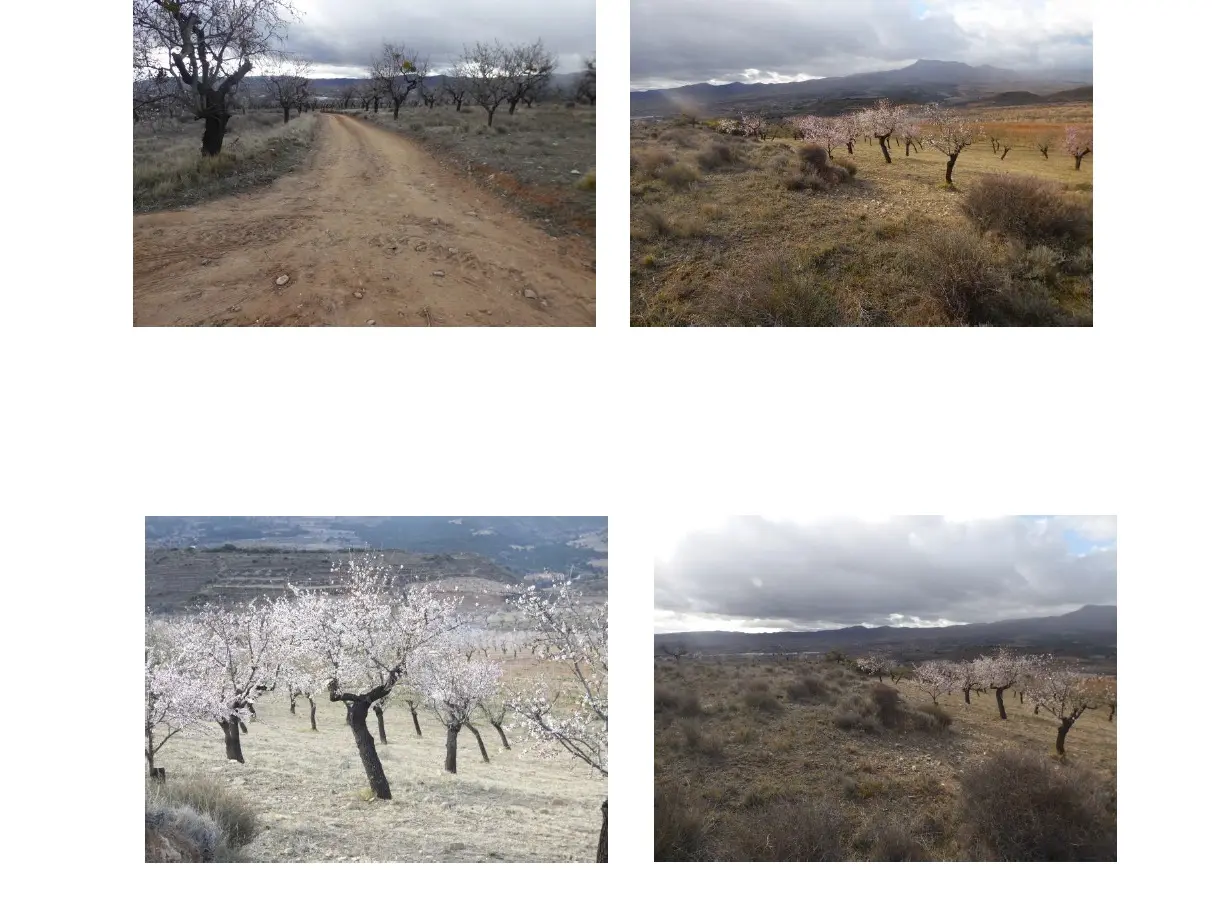 Finca rústica en Arnedo