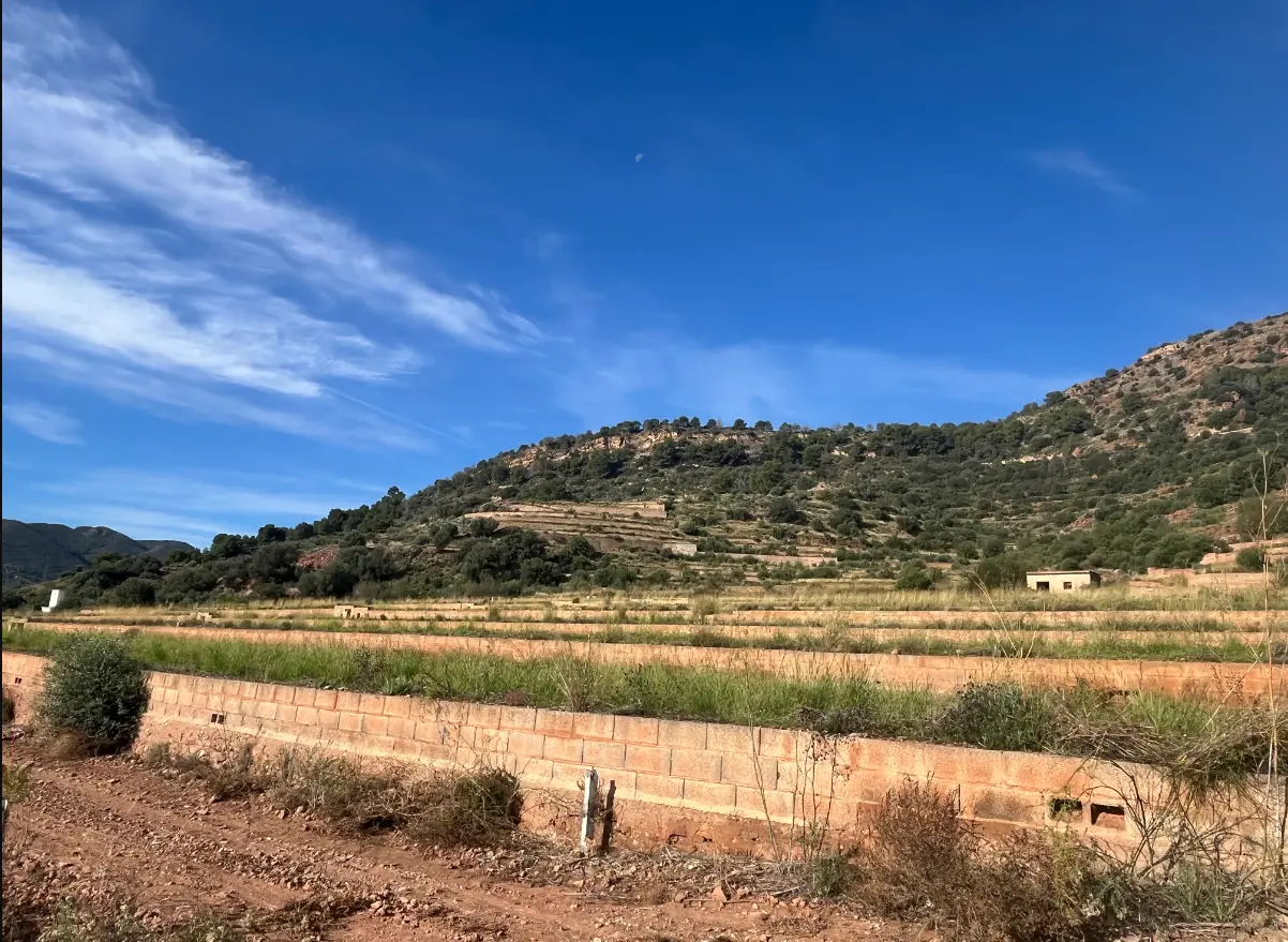 Finca rústica en Algímia d'Alfara