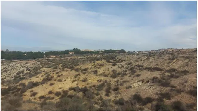 Terreno en Molina de Segura