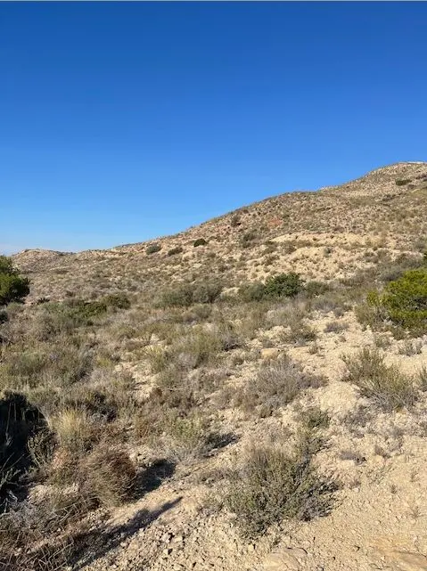 Finca rústica en Mutxamel