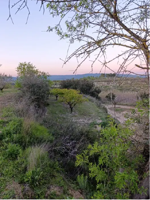 Finca rústica en Aielo de Rugat