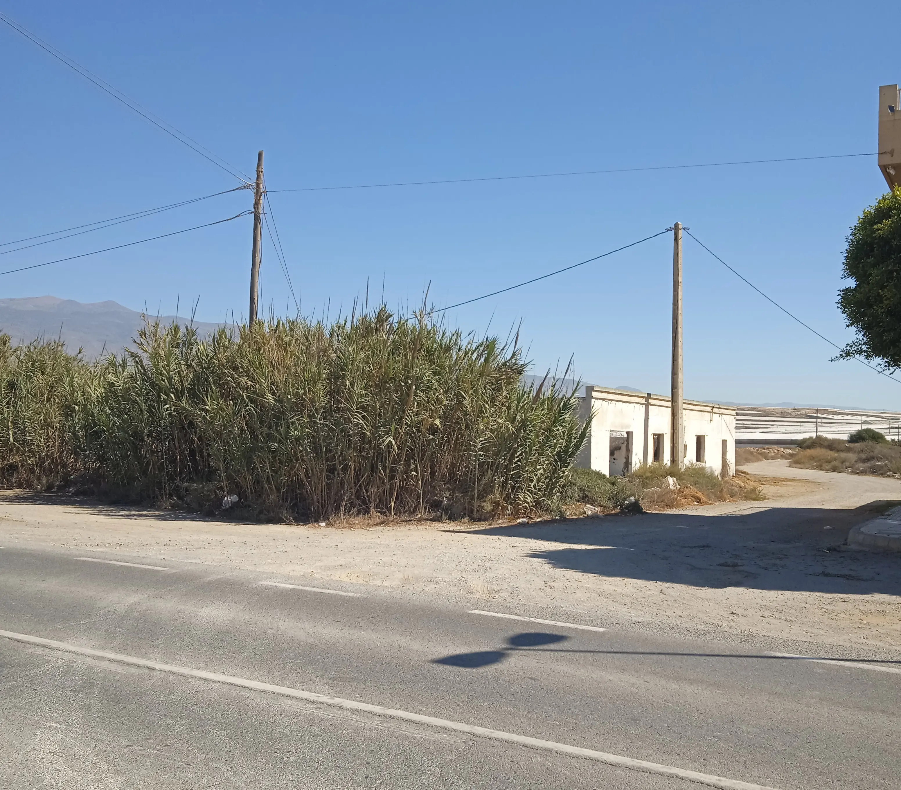 Terreno en El Ejido