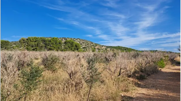 Finca rústica en Peníscola