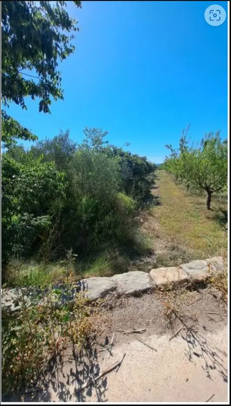 Finca rústica en Altura