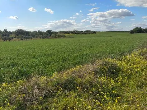 Finca rústica en Almonte