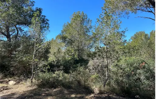 Finca rústica en Mont-roig del Camp