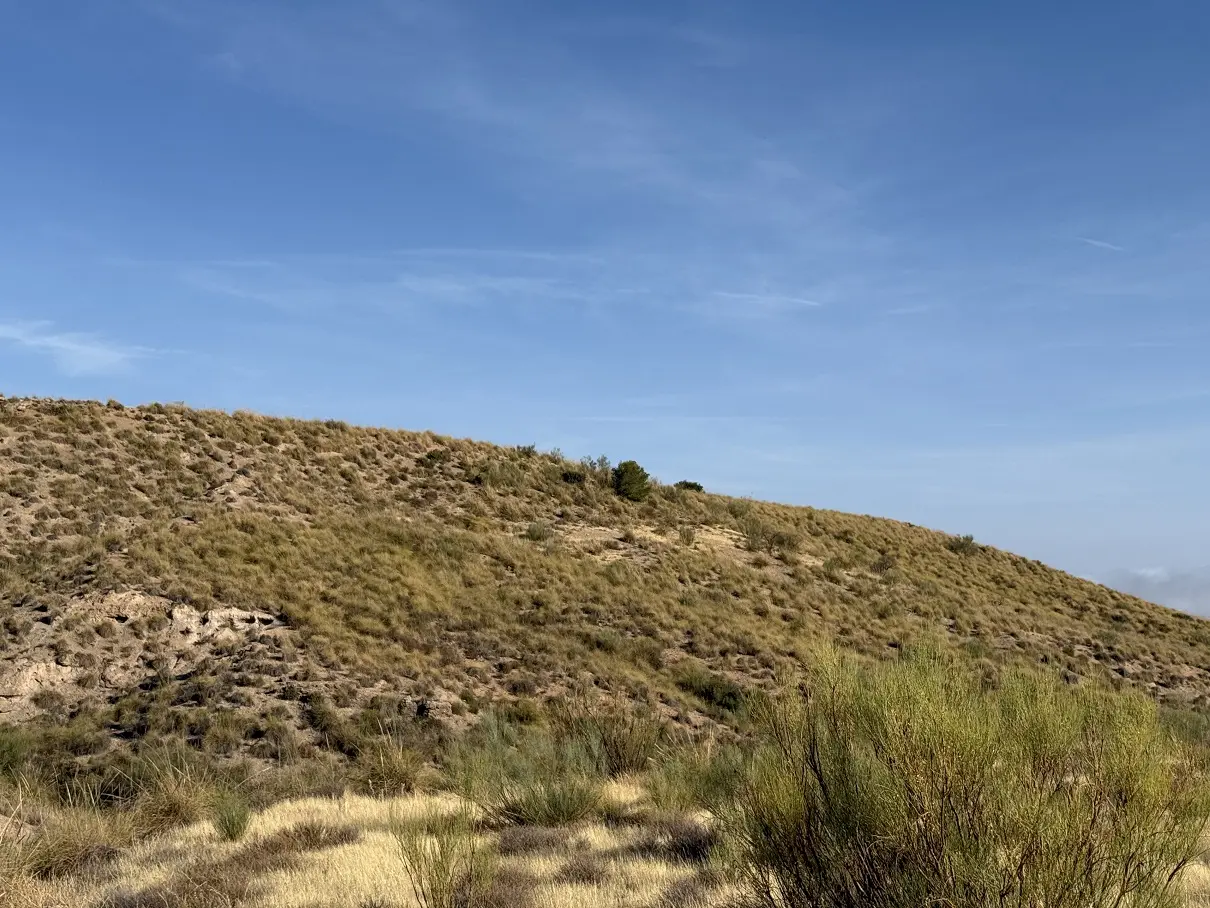 Finca rústica en Freila