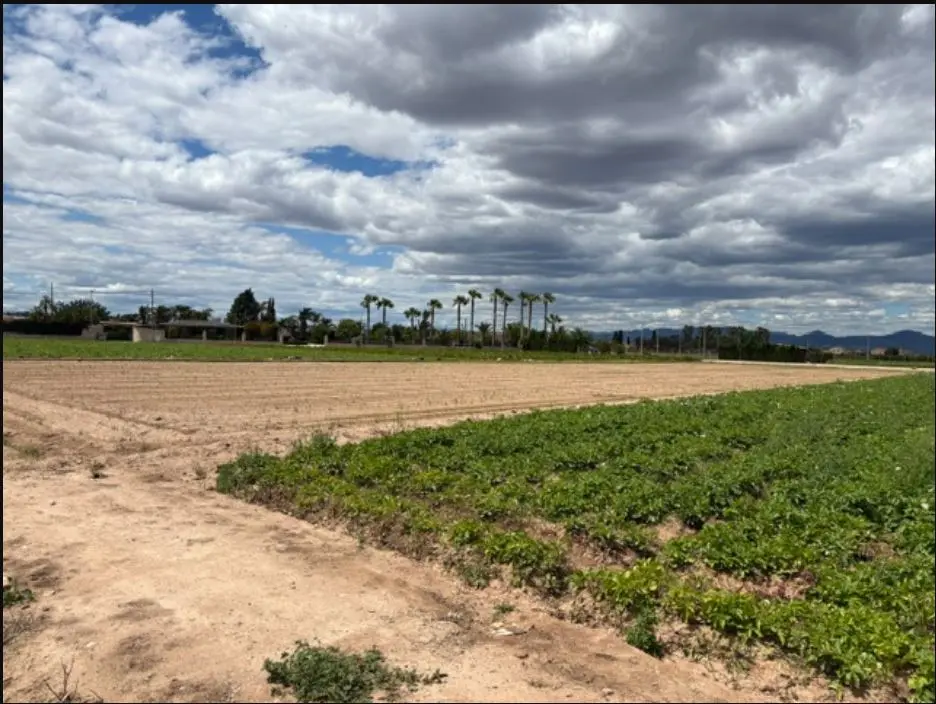 Finca rústica en València