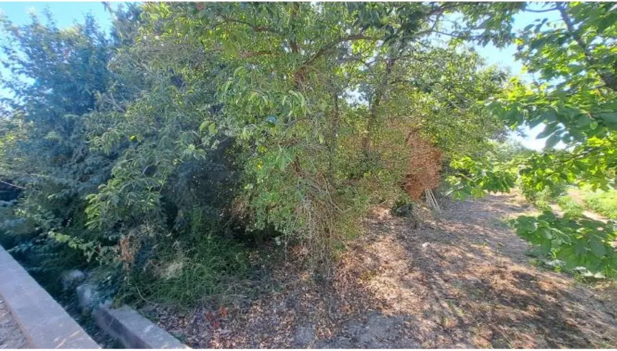 Finca rústica en Altura
