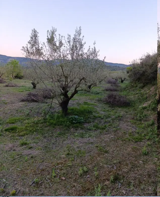 Finca rústica en Aielo de Rugat