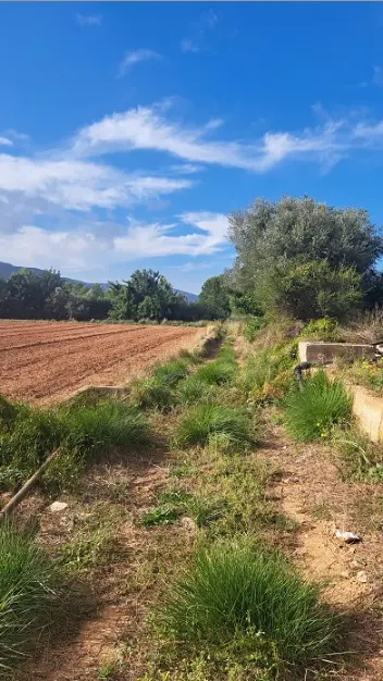 Finca rústica en Peníscola