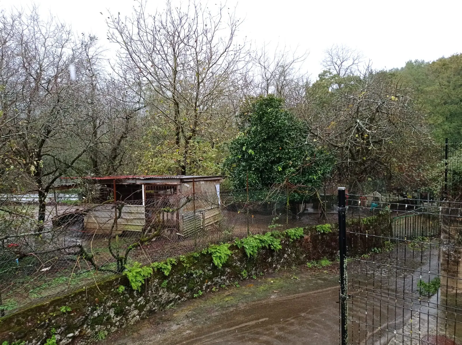 Terreno en Ramales de la Victoria
