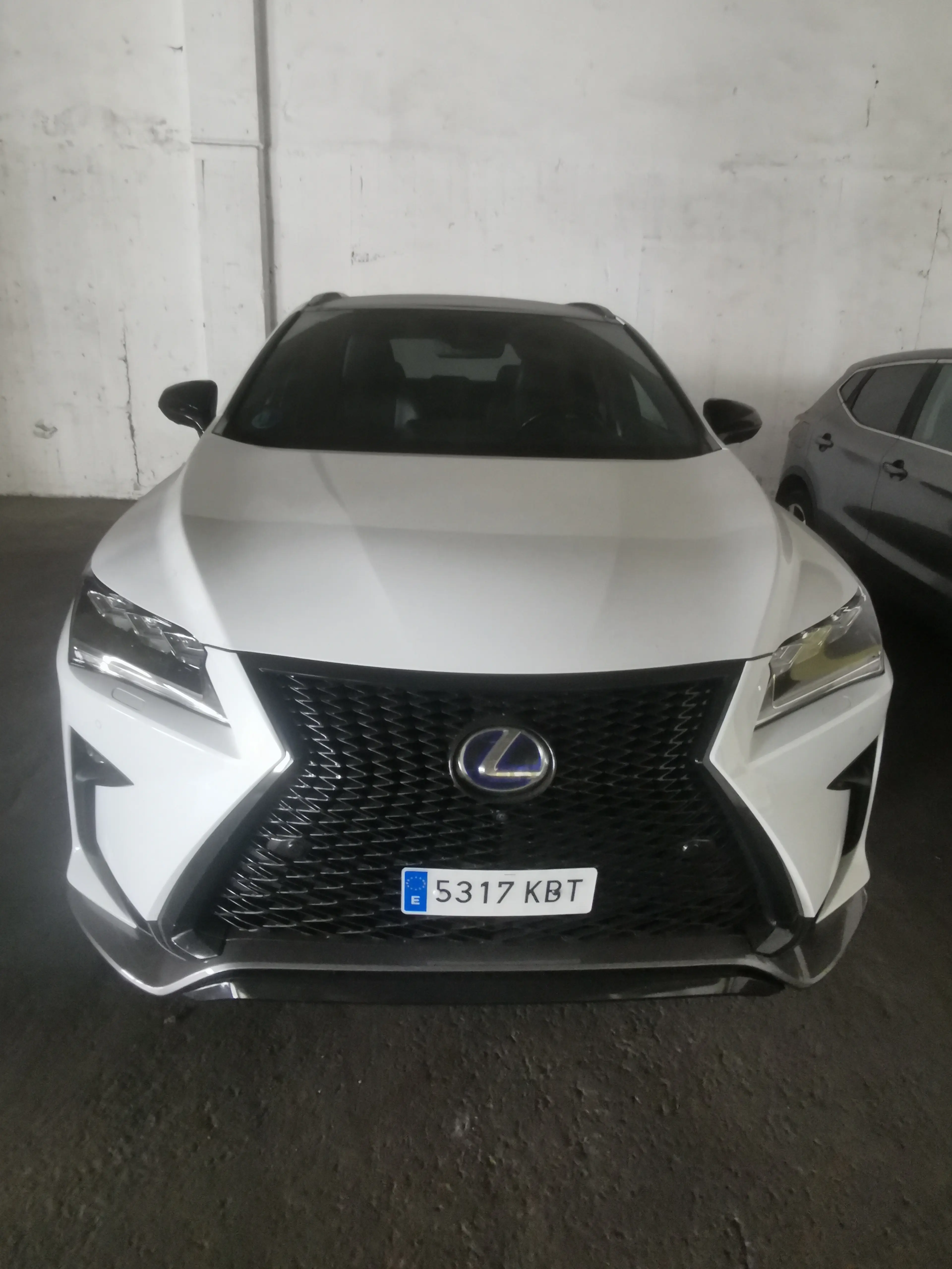 LEXUS LEXUS RX450H en Cantabria