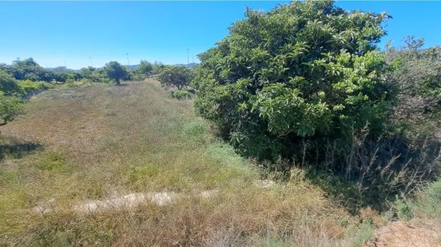 Finca rústica en Altura
