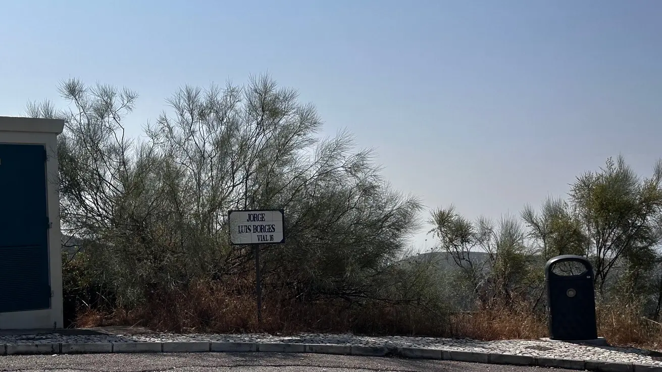 Terreno en Benahavís
