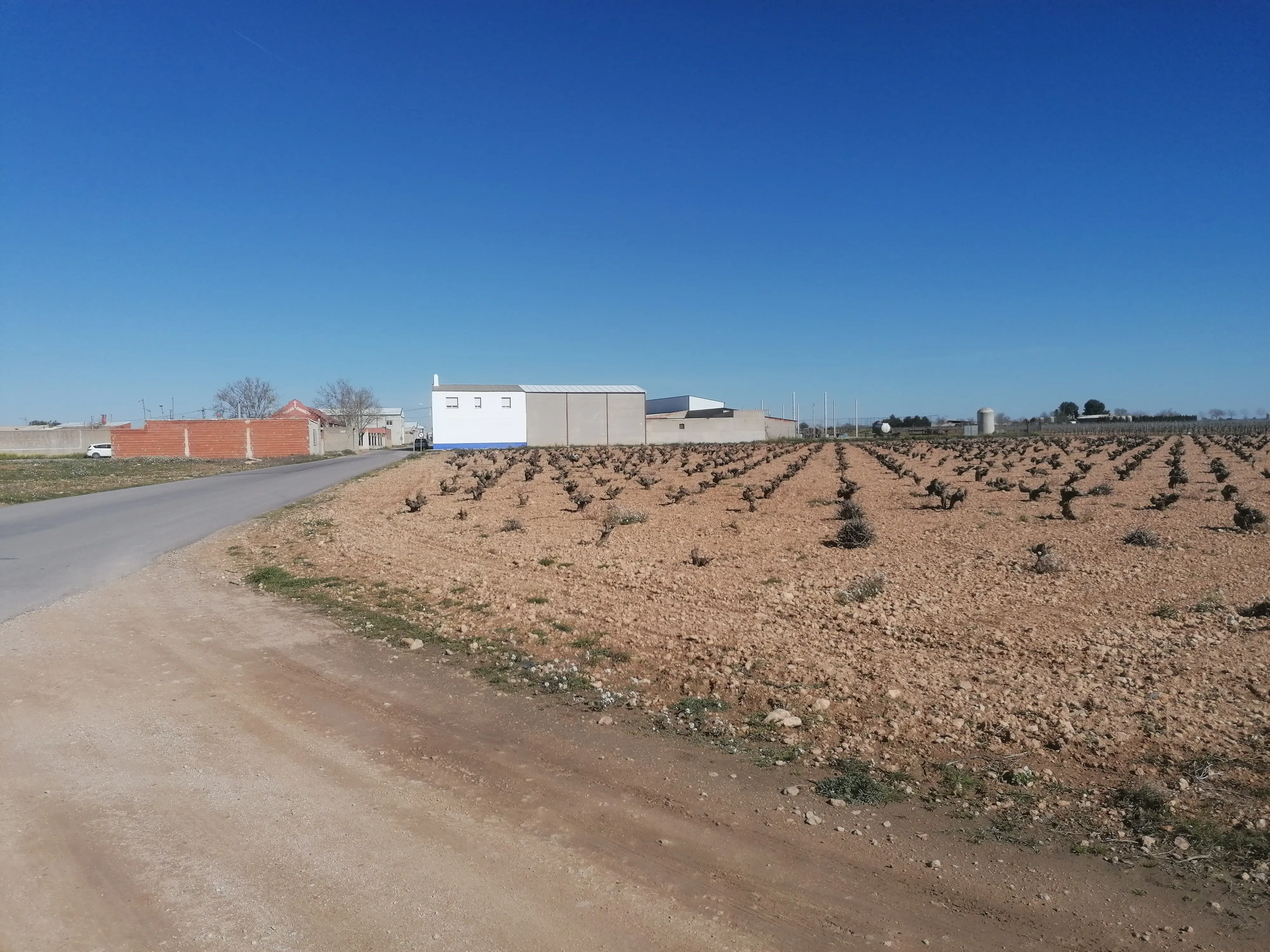 Terreno en Pedro Muñoz