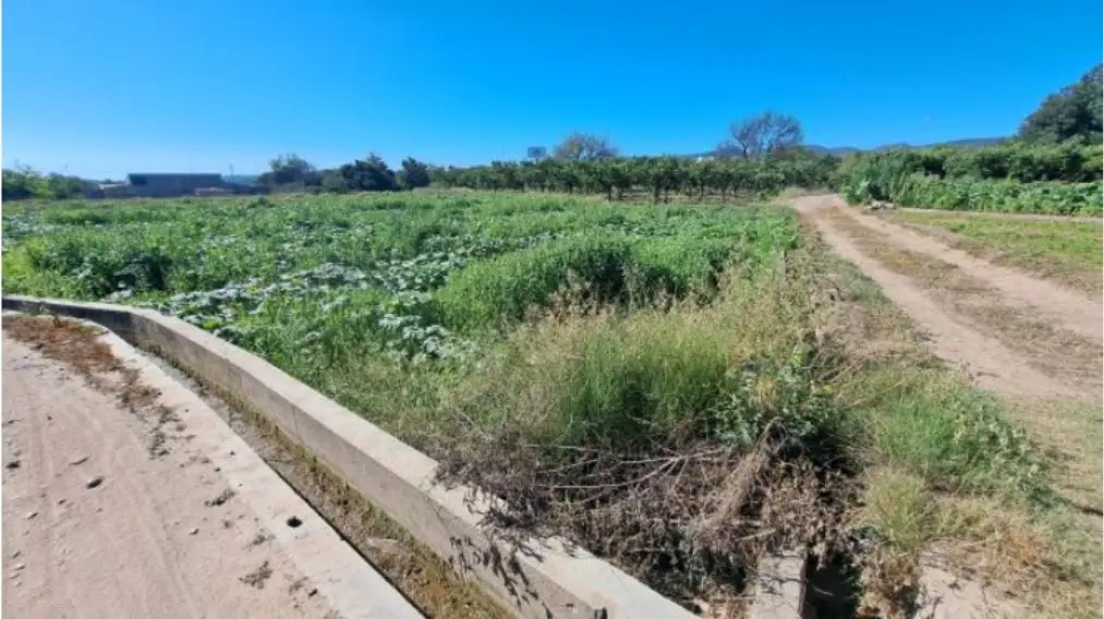 Finca rústica en Altura