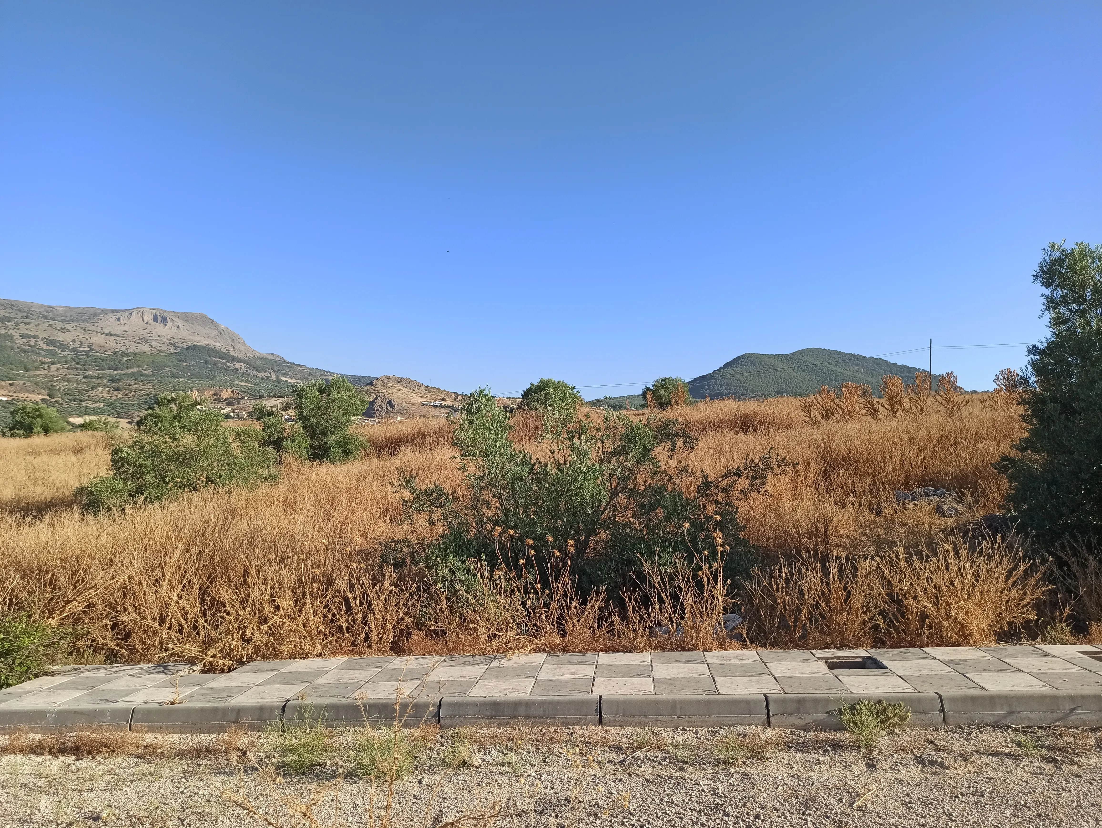 Terreno en Íllora