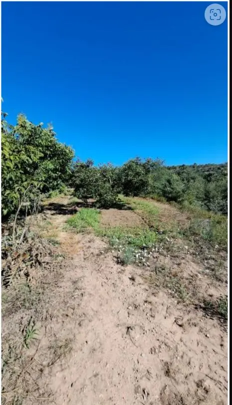 Finca rústica en Altura