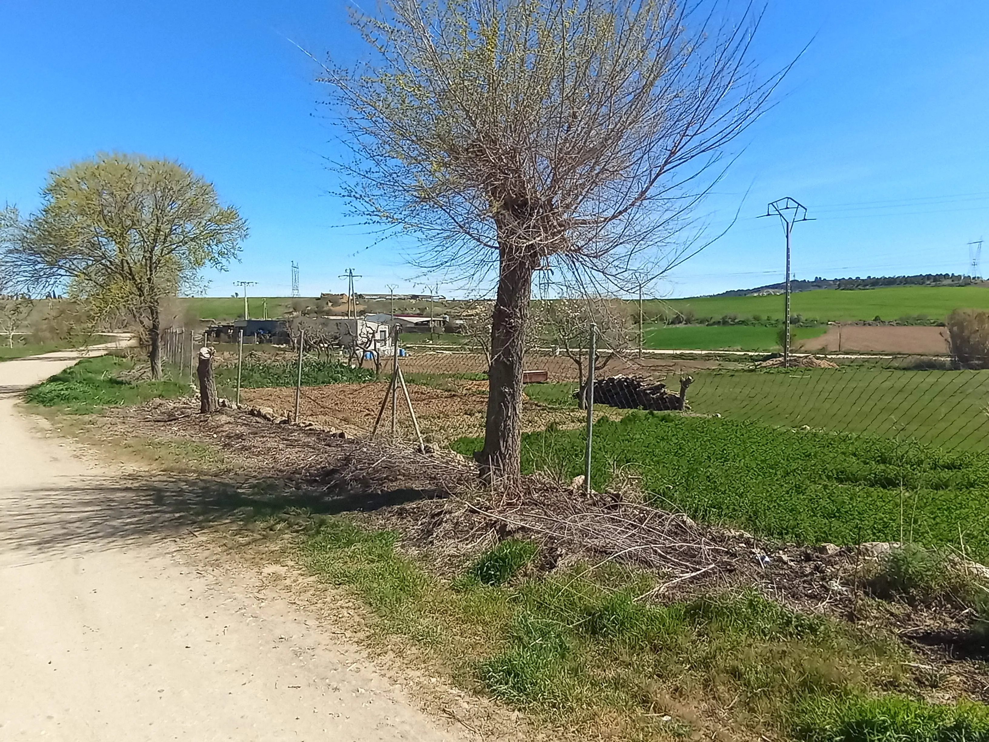 Finca rústica en Medina de Rioseco