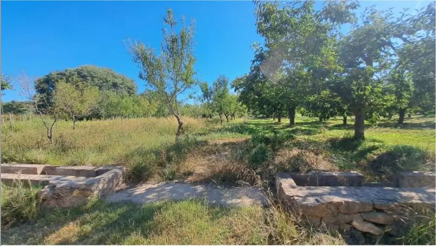 Finca rústica en Altura