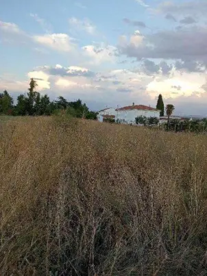 Terreno en Yunquera de Henares