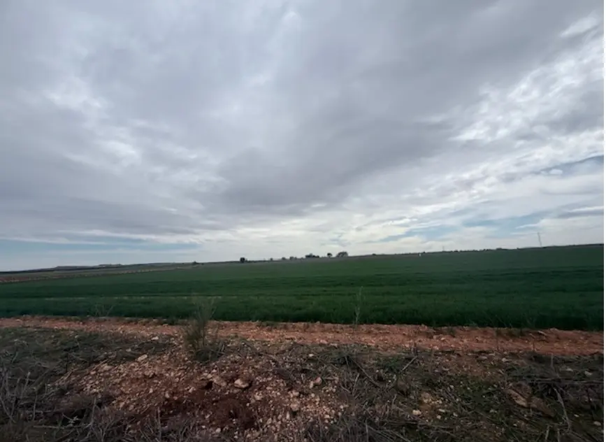 Finca rústica en Manzanares
