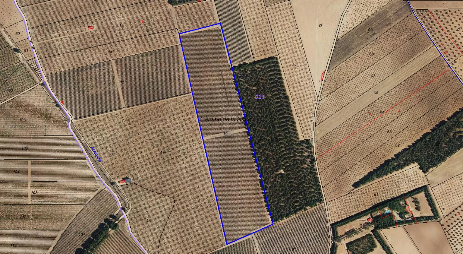 Finca rústica en Argamasilla de Alba