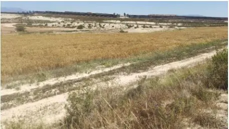 Finca rústica en Mazarrón