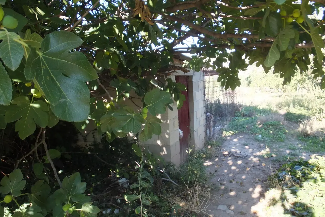 Finca rústica en Fuenmayor