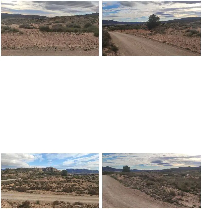 Finca rústica en Jumilla