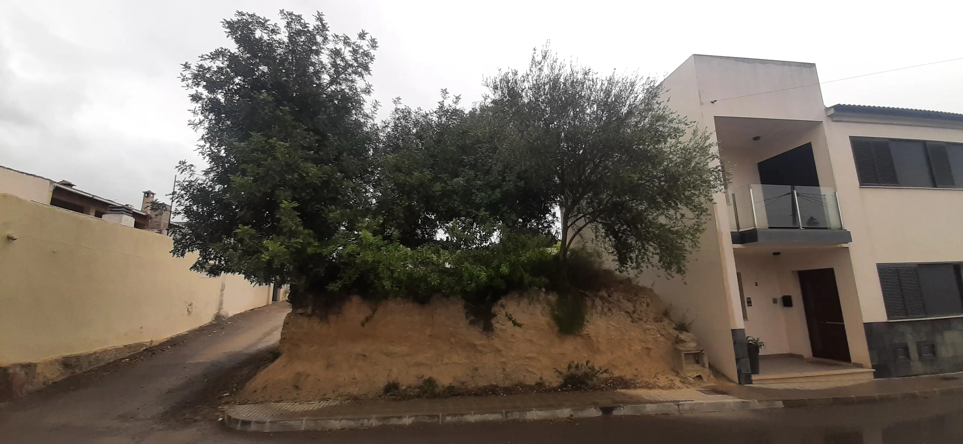 Terreno en Maria de la Salut