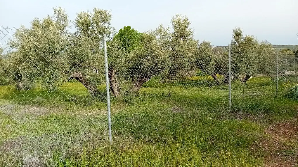 Finca rústica en Torreperogil