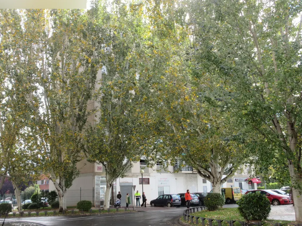 Vivienda en Logroño