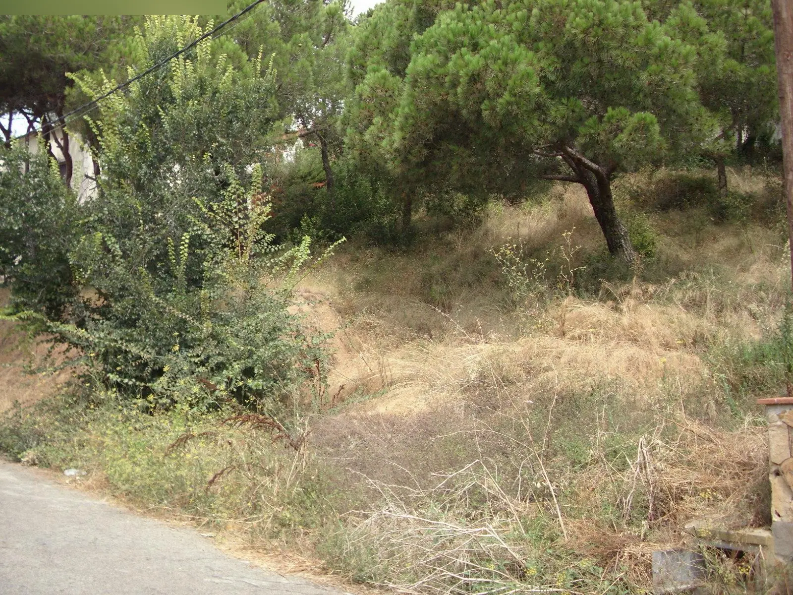 Terreno en Platja d'Aro i s'Agaró Castell d'Aro