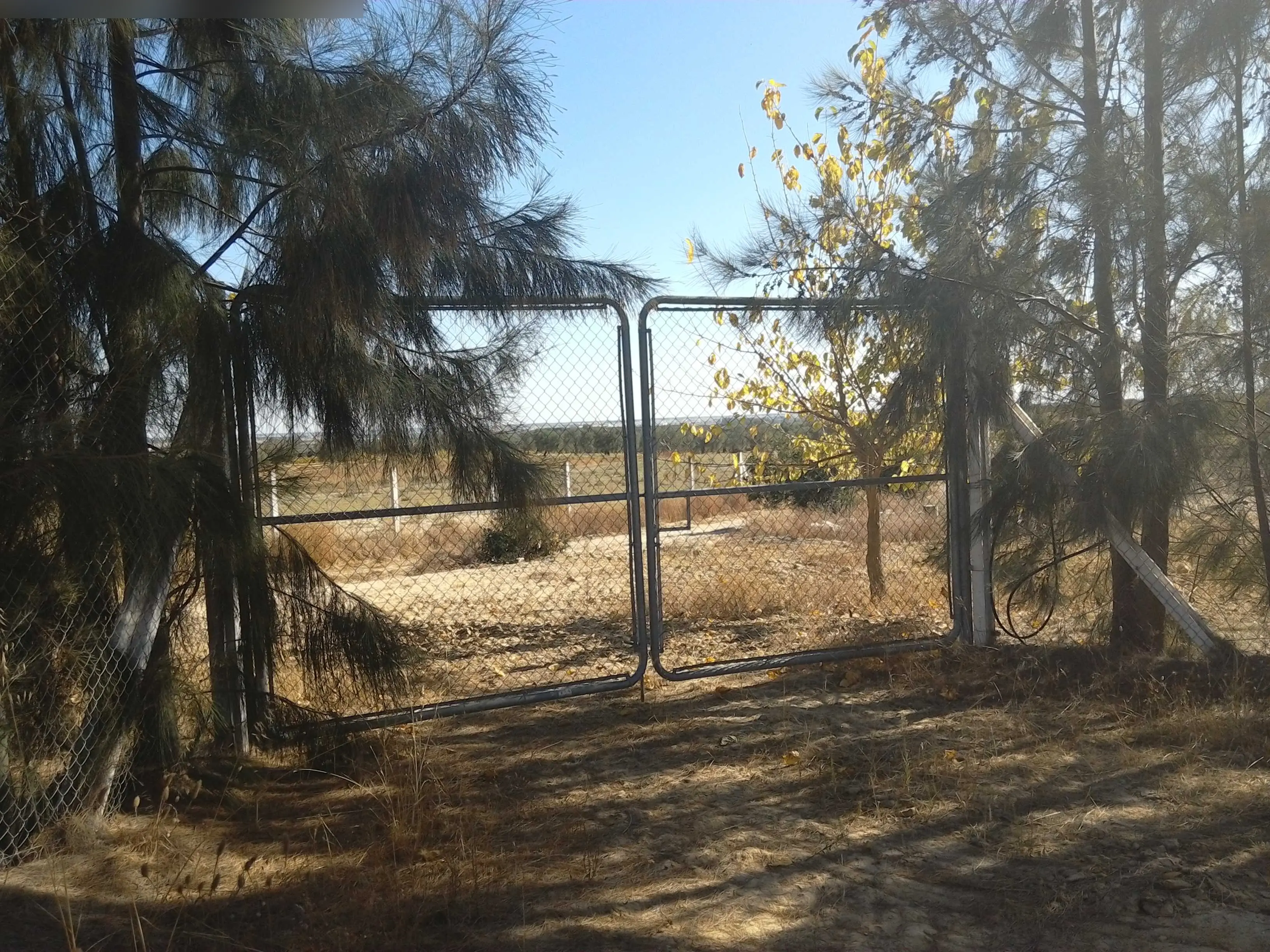 Finca rústica en Almonte