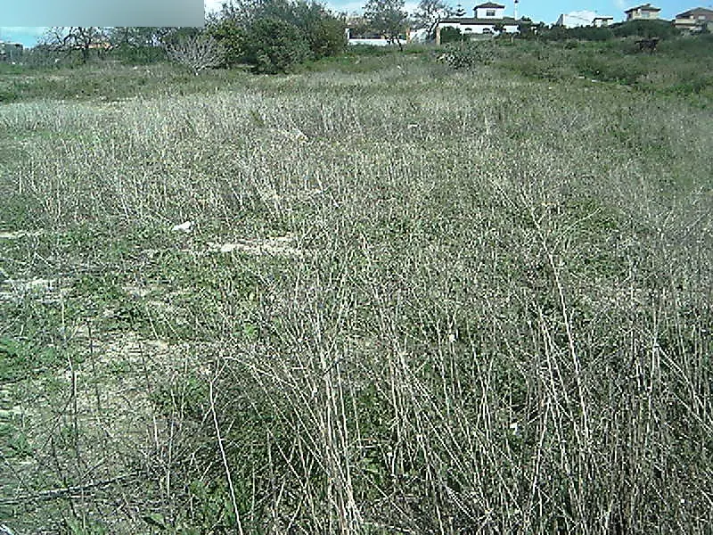 Finca rústica en Chiclana de la Frontera