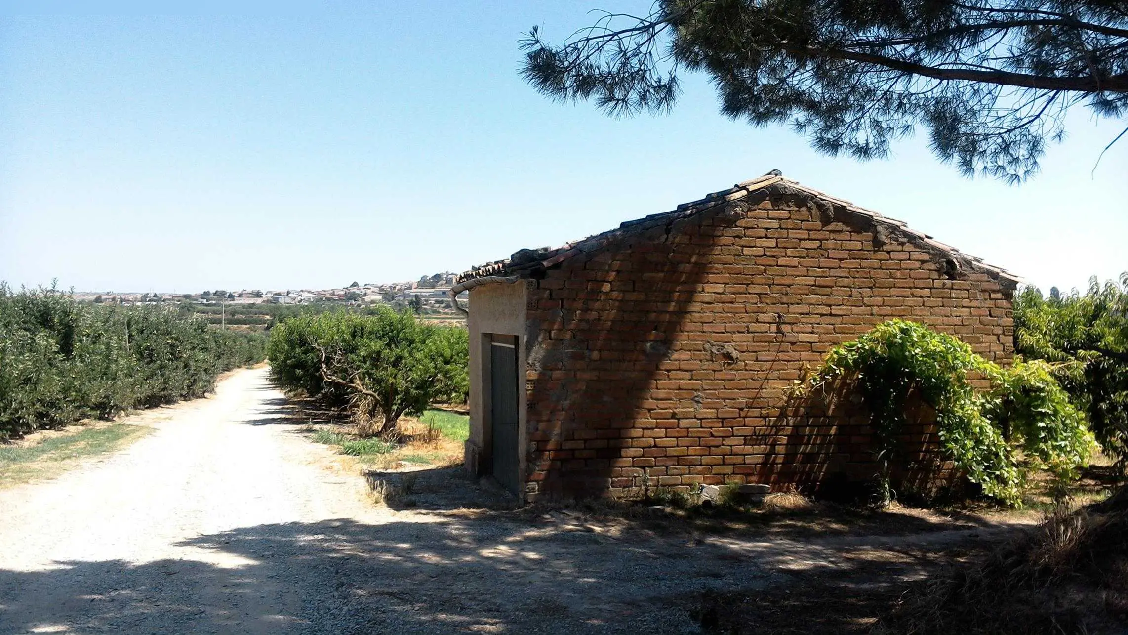 Finca rústica en Puiggròs