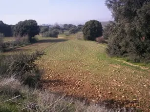 Finca rústica en Valdeaveruelo