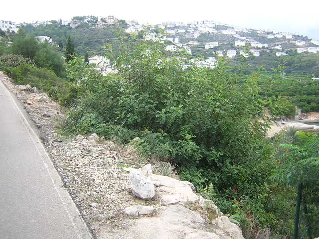 Terreno en Pego
