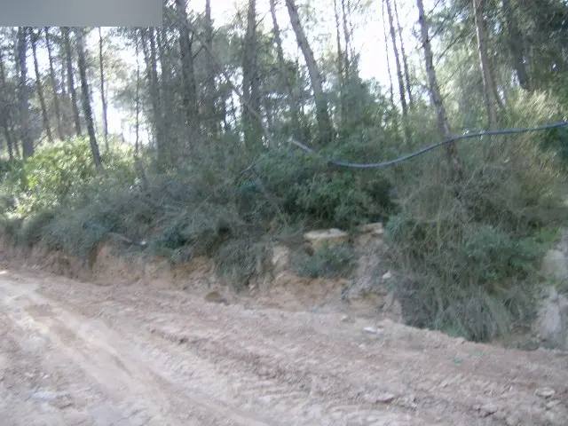Terreno en Fonollosa