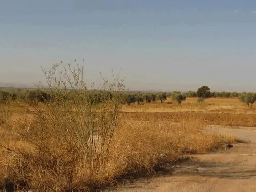 Finca rústica en Cazalegas