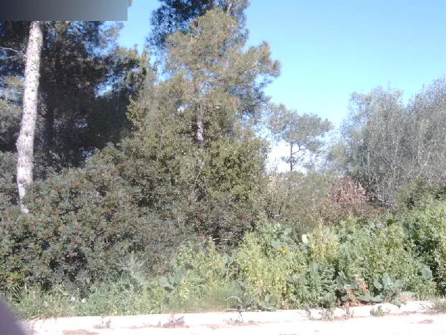 Terreno en Canyelles