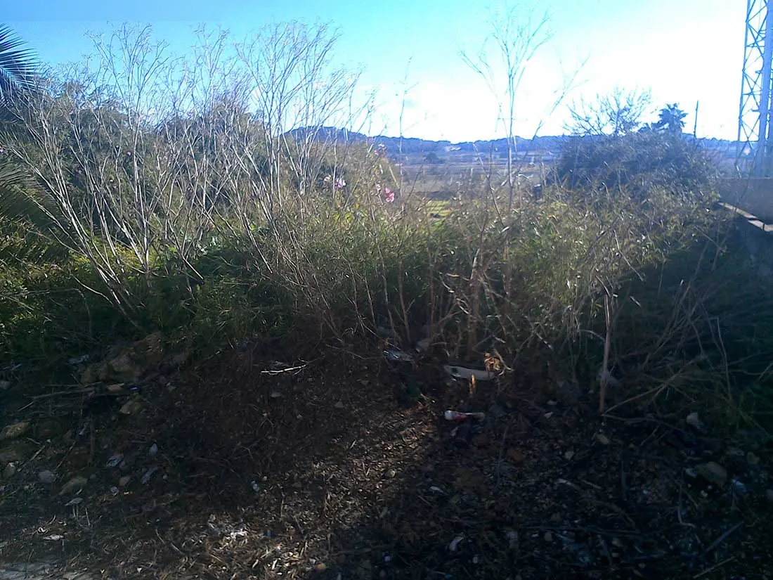 Terreno en Montuïri