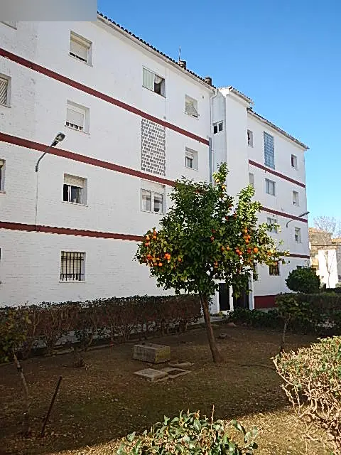 Vivienda en Montijo