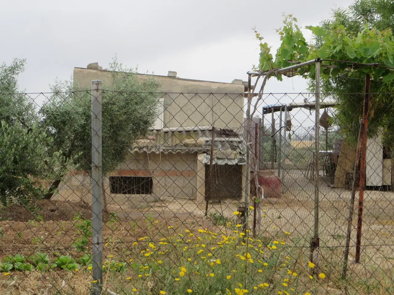 Finca rústica en Las Torres de Cotillas