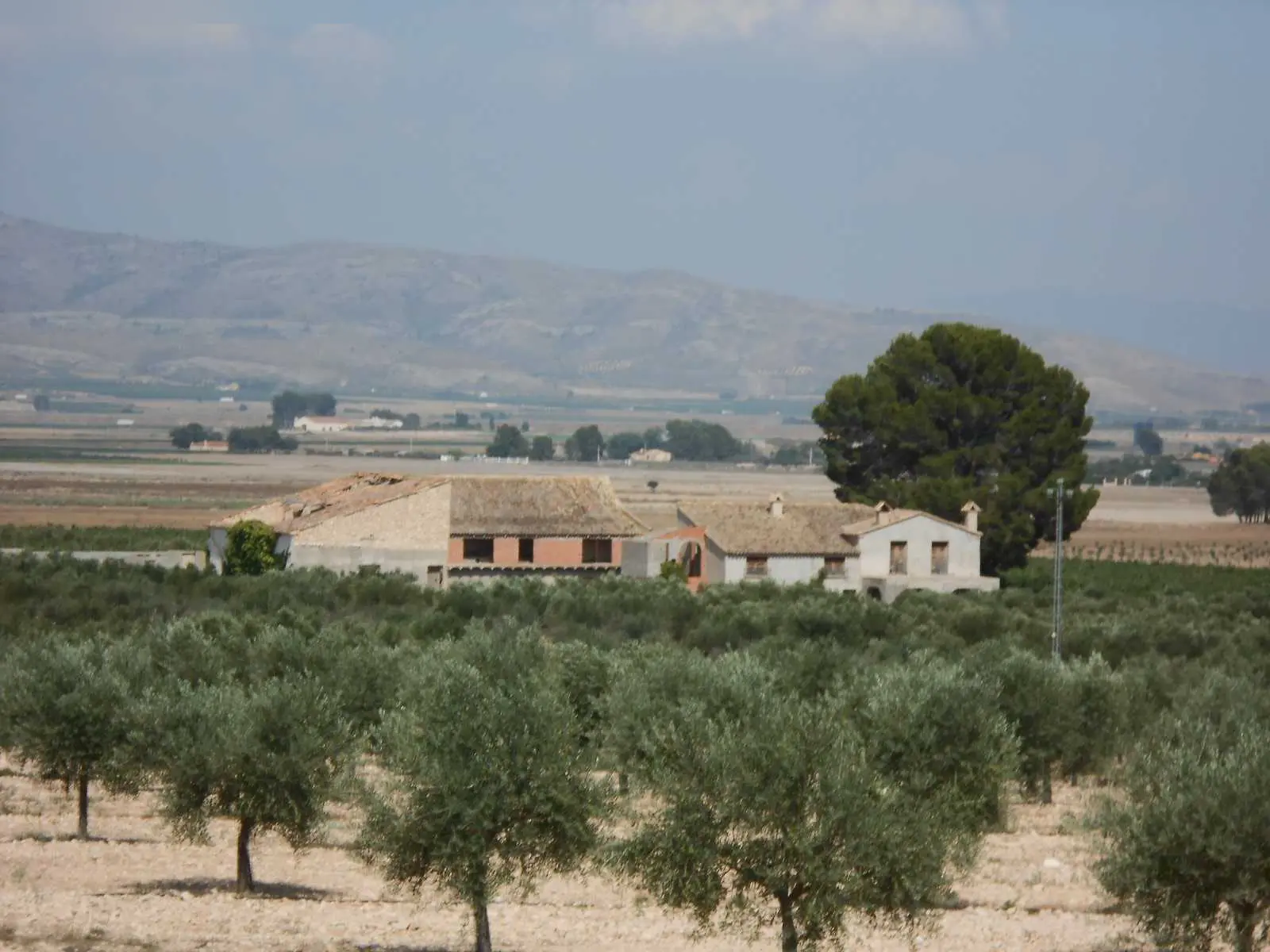 Finca rústica en Caudete