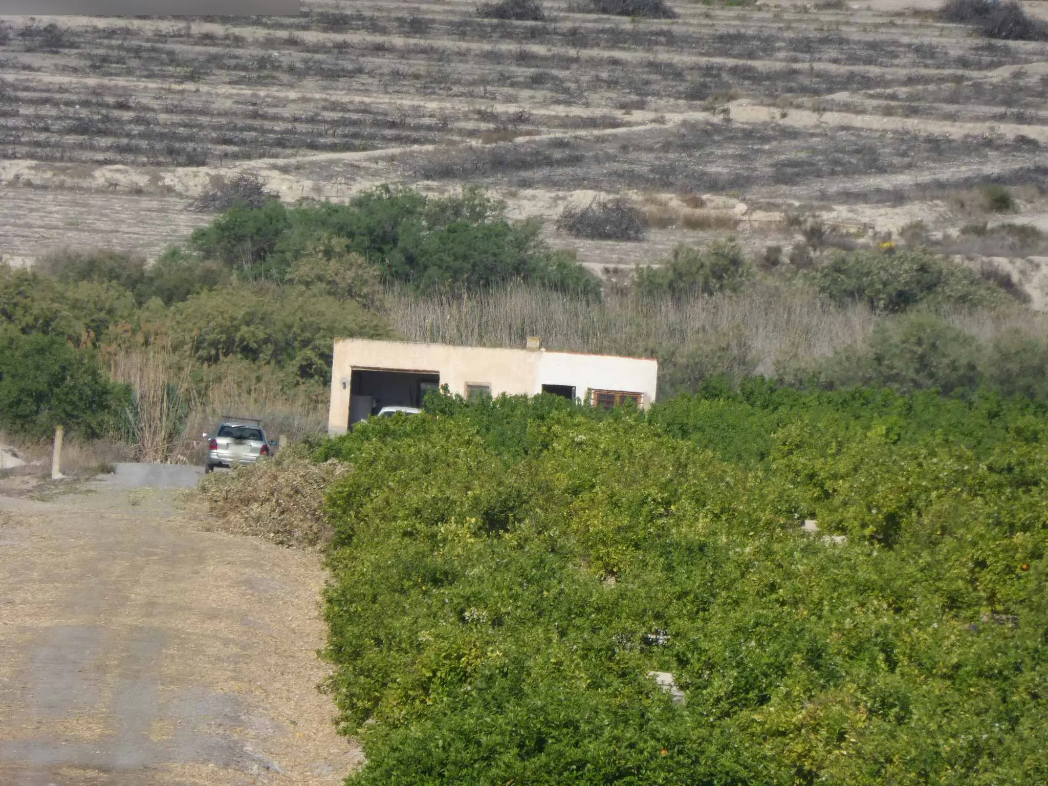 Finca rústica en Fortuna