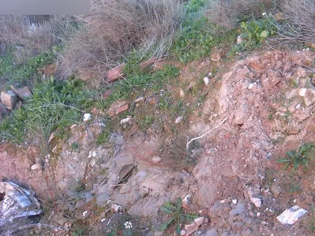 Terreno en Les Borges Blanques
