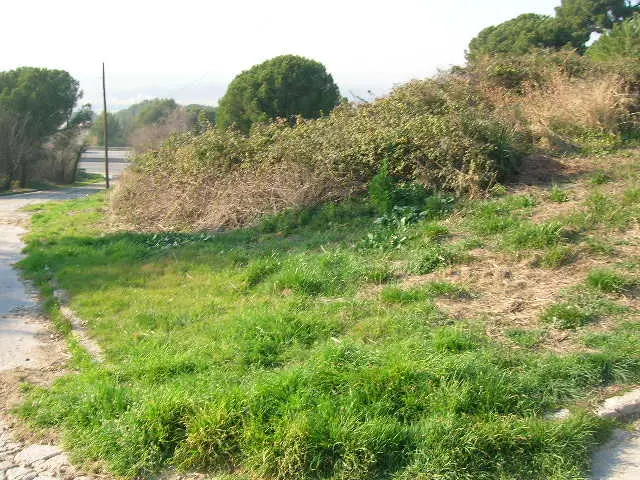 Terreno en Lliçà d'Amunt